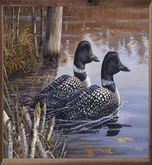 Beaver Pond Loons By Terry Doughty
